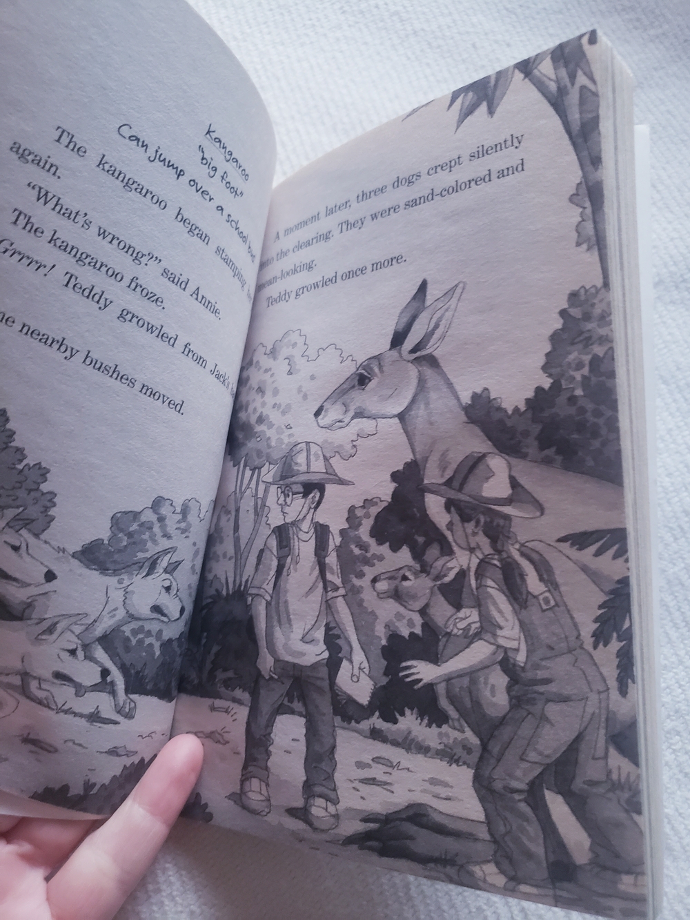 Magic Tree House Books - Picture 11 of 15